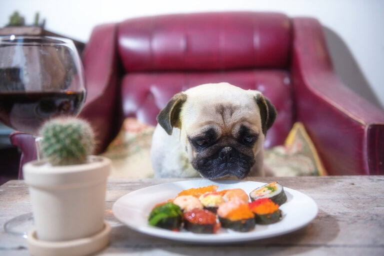 Can Dogs Eat Sushi?