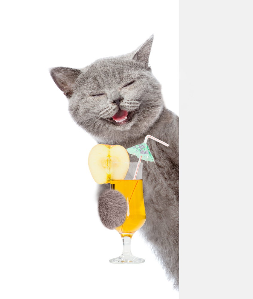 Can cats have apple juice?